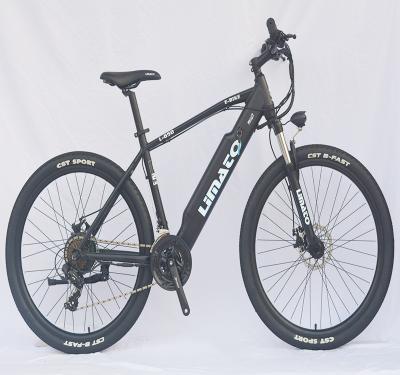 China Electric Bicycle Ebike 36V 27.5