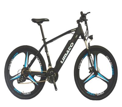 China Aluminum alloy mountain bike high power Ebike 36V 250W electric bicycle mountain lithium battery 26