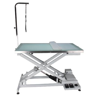 China Shernbao FT-829 Viable New Products Dog Grooming Table Pet Show Electric Lift Table for sale