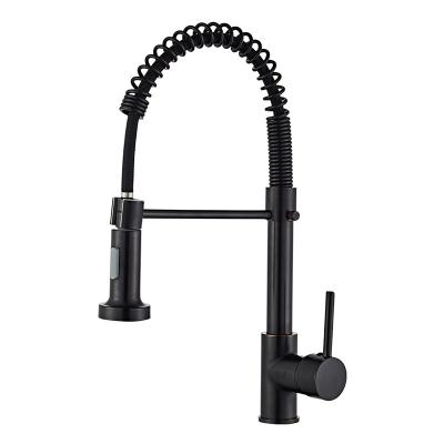 China Thermostatic Faucets Black 304 Stainless Steel Single Hose Pull Down Water Faucet, Brass Brushed Sink Filter Kitchen Faucet for sale