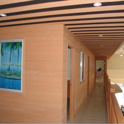 China 2021 Modern Hot Sale Anti-UV WPC Composite Wall Cladding for sale