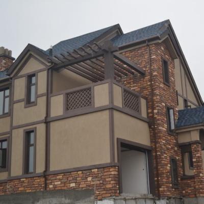 China 2021 modern new type high quality villa wall cladding for sale