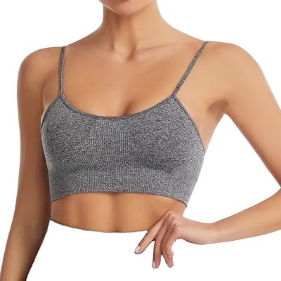 China Macaron color gathering yoga vest pure antibacterial bra European and American border yoga sports bra stain for sale