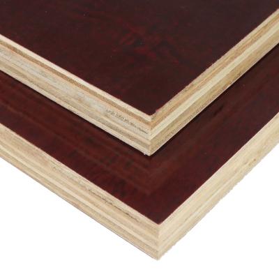 China Exterior Concrete Building Construction Molding Plex Plywood for sale