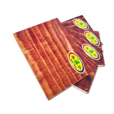 China Exterior design e grade eucalyptus plywood/polyester plywood/4x8 hardwood plywood for sale