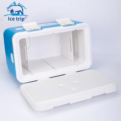 China Waterproof Portable Plastic Cooler Box Small Handle PP Plastic Cold-Hot Box for sale