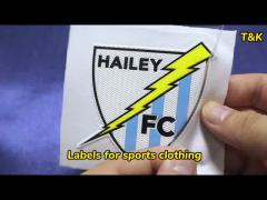 Factory Custom Hibiscus Skin TPU Logo Engraving Film High Frequency Patches For Garment Use