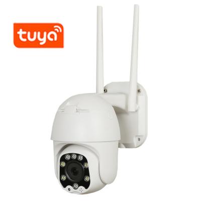 China PAN-TILT Tuya Smart Wifi 2.5Inch Night Vision Dome Camera Outdoor Waterproof For Home Network Mobile Phones CCTV Camera for sale