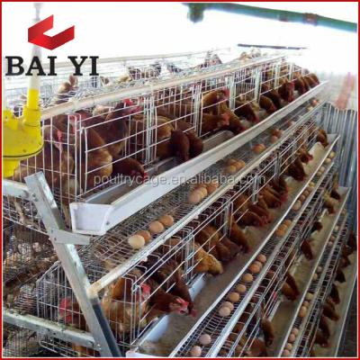 China BAIYI Brand Easily Clean Hot Sale Poultry Cage/Chicken Cage In Nigeria, Kenya for sale