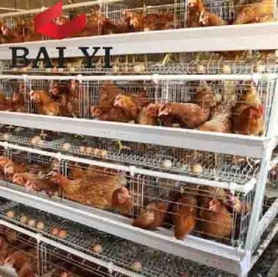 China Hot Selling Backup Space Folding Stainless Steel Layer Chicken Cage Cage (A and H Type Layer Chicken Cage, Good Quality) for sale