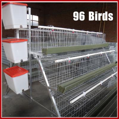 China Easily clean battery cages for layers on poultry farms for sale