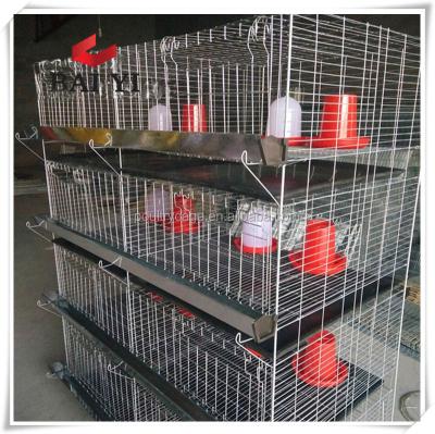 China Easily Clean Strong And Heavy Duty Cage Cages Used By Small Baby Chicken In Factory Price for sale