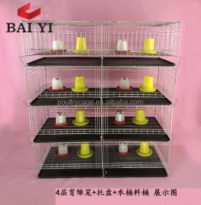 China Durable Poultry Laying Cages For Baby Chick Used High Quality! Little price ! for sale