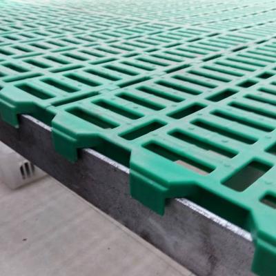 China Farms Plastic Slatted Floor For Rearing Goat Sheep for sale