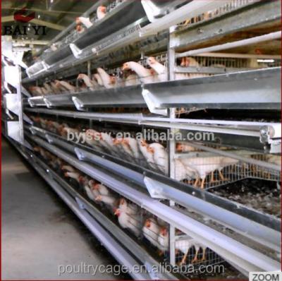 China Labor Saving Poultry Farm House Design For Layer Chicken Cage In Africa Kenya Farm for sale