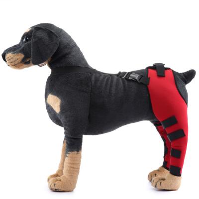 China Sustainable Dog Protective Back Legs Brace Straps For Wounds Wounds Bone Broken Compression Heals Sprains Arthritis Hock Back Joint for sale