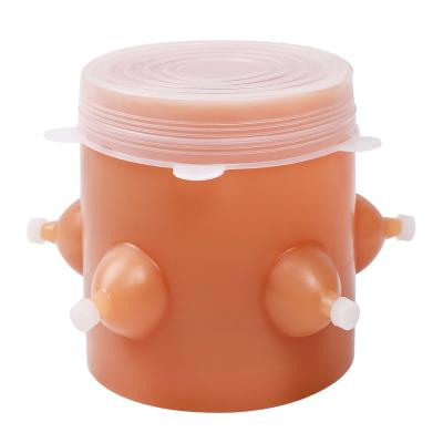 China Stocked Female Dog Cat 4 or 5 Nipples For Small Small Baby Puppy Feeder Food Grade Silicon Gel Puppy Pet Bowl for sale