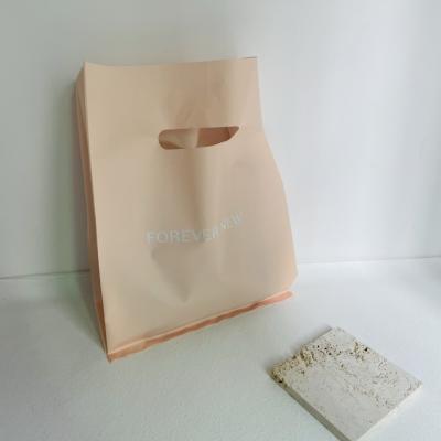 China Strong Adhesive Custom Design Logo Printed Biodegradable Shopping Gift Bags Boutique Plastic Bags For Clothing Packaging for sale