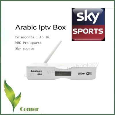 China 2 Jahre geben türkische IPTV RJ-45 Schnittstelle USB Wifi arabischen IPTV-Kasten-Google androiden Fernsehkasten-kein Teller frei zu verkaufen