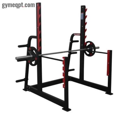 China Fitness Equipment Squat Frame DM072 Modern Gym Squat Rack for sale