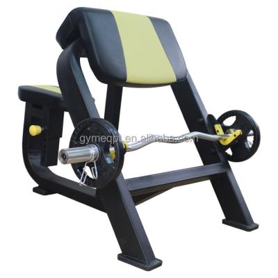 China Fitness center preacher curl bench for biceps DM027 for sale