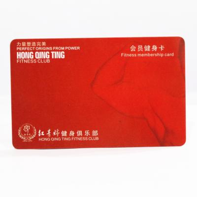 China VIP Card Best Selling Magnetic Stripe Blank PVC Visa Credit Chip Cards for sale