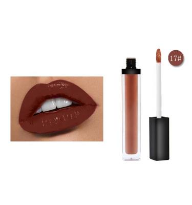 China New 17 color vegan lip gloss waterproof lip gloss with private label for sale