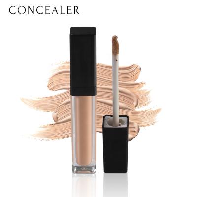 China Concealer Make Your Own Concealer Pabels Full Coverage Liquid Makeup Private Concealer for sale