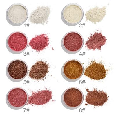 China High Sunscreen Pigment Loose Highlighter Powder Face Makeup Highlight for sale