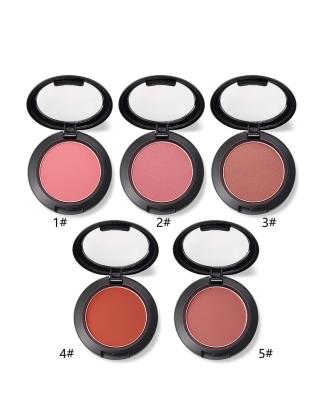 China High Gloss Sunscreen Mix Color Pigment Single Powder Blush Palette Make Your Own Brand for sale