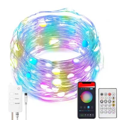 China Lamp string 10m copper wire led usb festival decorative outdoor string light led string lights wifi APP control holiday lights for sale