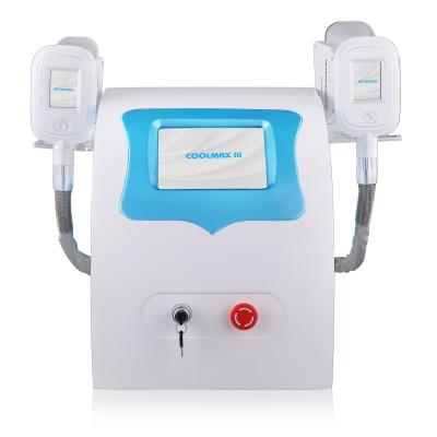 China Niansheng Factory Touch Screen 2 Handles Fat Mini Portable Cryo Freeze Slimming Machine for sale