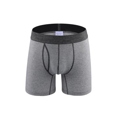 China Wholesale Fashionable Summer Hotsale Quality Cotton Boxer Shorts Antibacterial Best Shorts Logo Mens Underwear Custom Made for sale