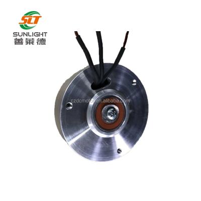 China Waterproof High Quality Electric Brushless DC Motor For Lawn Mower for sale