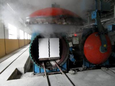 Chine Autoclave de bloc d'AAC pour le bloc de béton aéré stérilisé à l'autoclave faisant l'usine à vendre