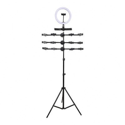 China 65CM-200CM Can Lift Stabilizer Good Quality Decor Mini Endscope Tripod For Camera Hibrid Free Head 3d for sale