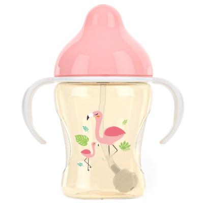 China BPA Free Custom Printed Logo Baby PP Feeding Bottle Factory for sale