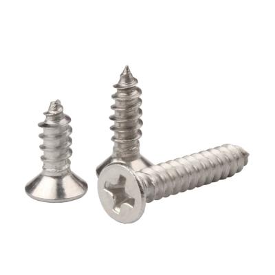 China Free Samples Self Tapping Screws Available Nylon Tapping Screws for sale