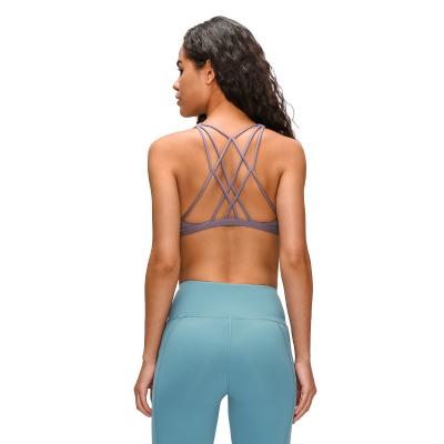 China Breathable Wholesale High Impact Sexy Ladies Sports Bra Quick Dry Yoga Padded Tops Women for sale