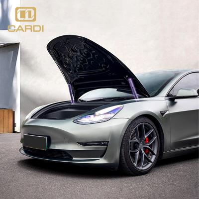 China Decorative Light Best-selling Accessories Front Trunk Suitable For Electric Car CARDIGAN Product RGB Car Modle Y/3/S/X ' for sale