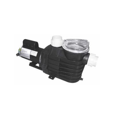 China High Efficiency Two Speeds 42-132gpm Swimming Pool Water Pump With Filter Housing for sale