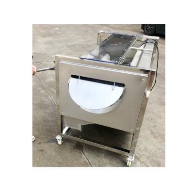 China Root vegetable and fruit washing machine potato taro washing and peeling machine bun brush washing machine for sale