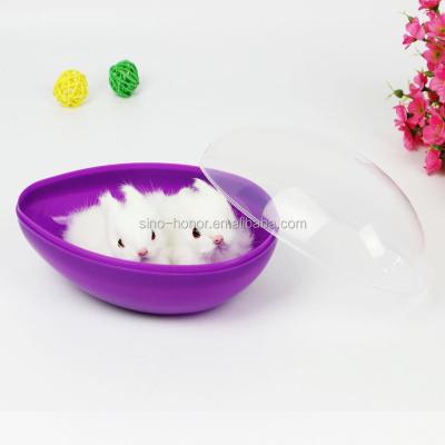 China 2021 New Product PP Plastic Translucent Vertical Eggs for sale