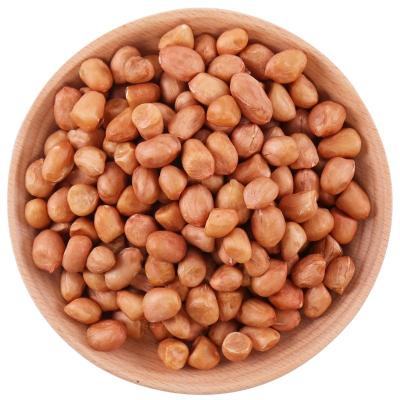 China Dried 2021 New Culture Chinese Raw Peanut Kernels With Red Skin In Different Sizes for sale