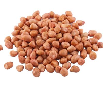 China Dried High Quality China Manufactured Selected Raw Peanuts Kernels With Different Sizes for sale