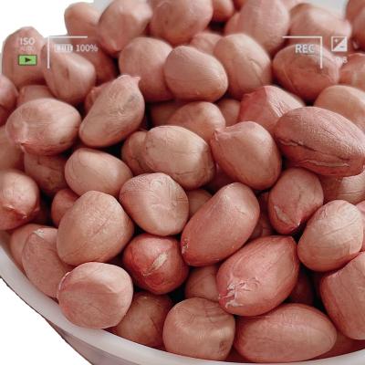 China Original Chinese Red Peanuts Skin Dry Raw Peanut Kernels Without Shell for sale