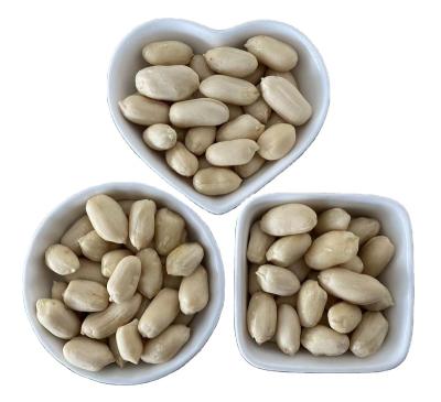 China Dried Chinese Peanuts New Culture Blanched Peanuts Roasted Kernels for sale