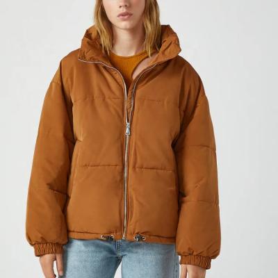 China Water Repellent Jacket With High Collar And Long Sleeves With Elastic Cuffs Oversized Puffer Jacket zu verkaufen