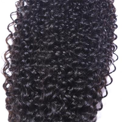 China Tangle Hair Dropshipping Peruvian Hair Wig Cuticle Aligned Curly Virgin Hair Wigs Wig for sale