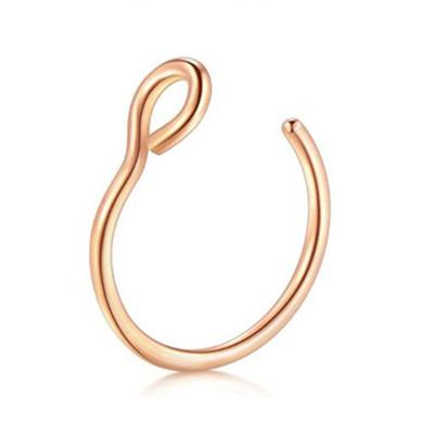 China Piercing Jewelry C - Fashion Body Shaped Stainless Steel 2021 New Fishhook Nose Ring Wholesale for sale